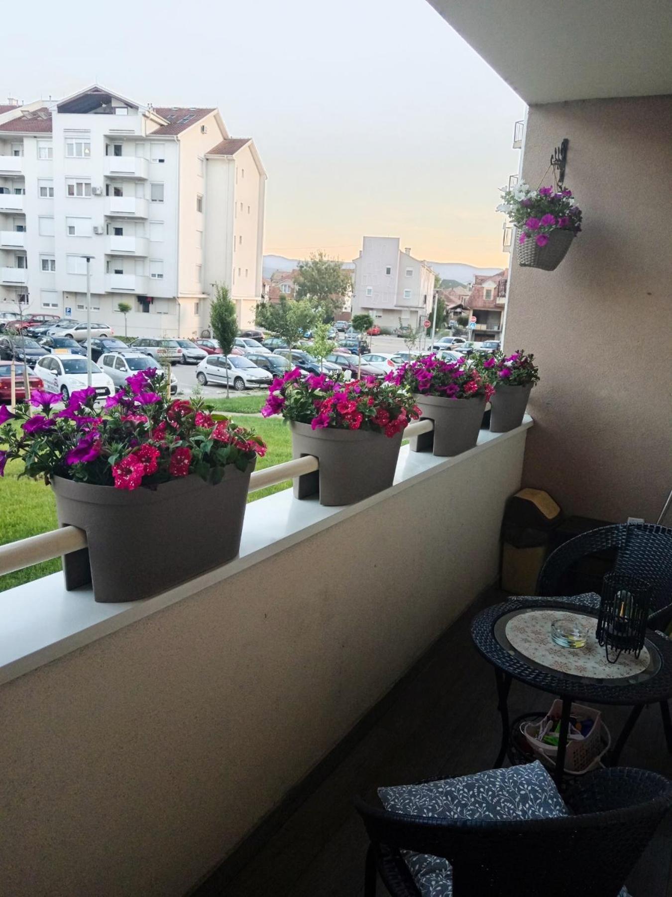 Apartman Lara Pirot Extérieur photo