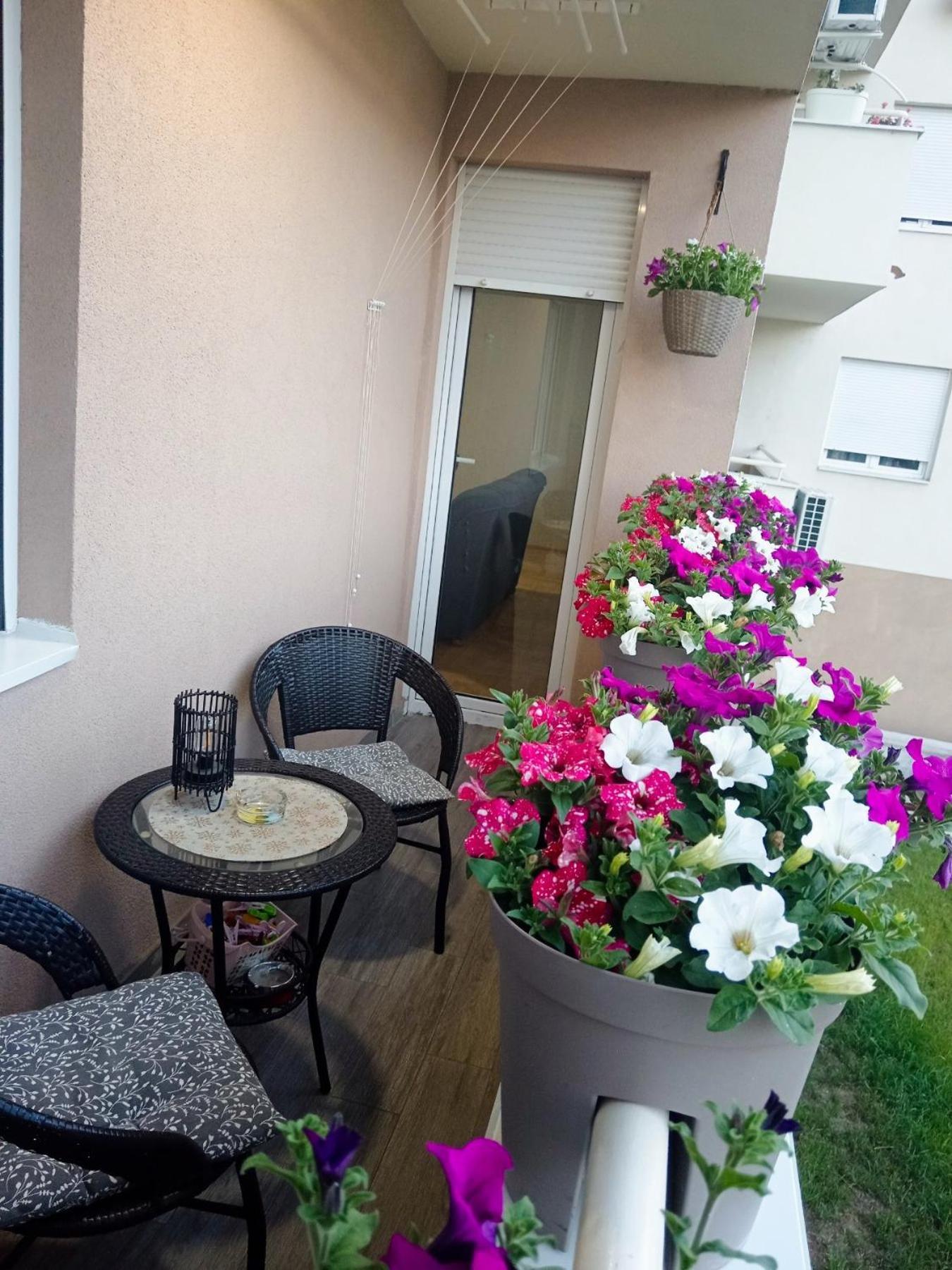 Apartman Lara Pirot Extérieur photo
