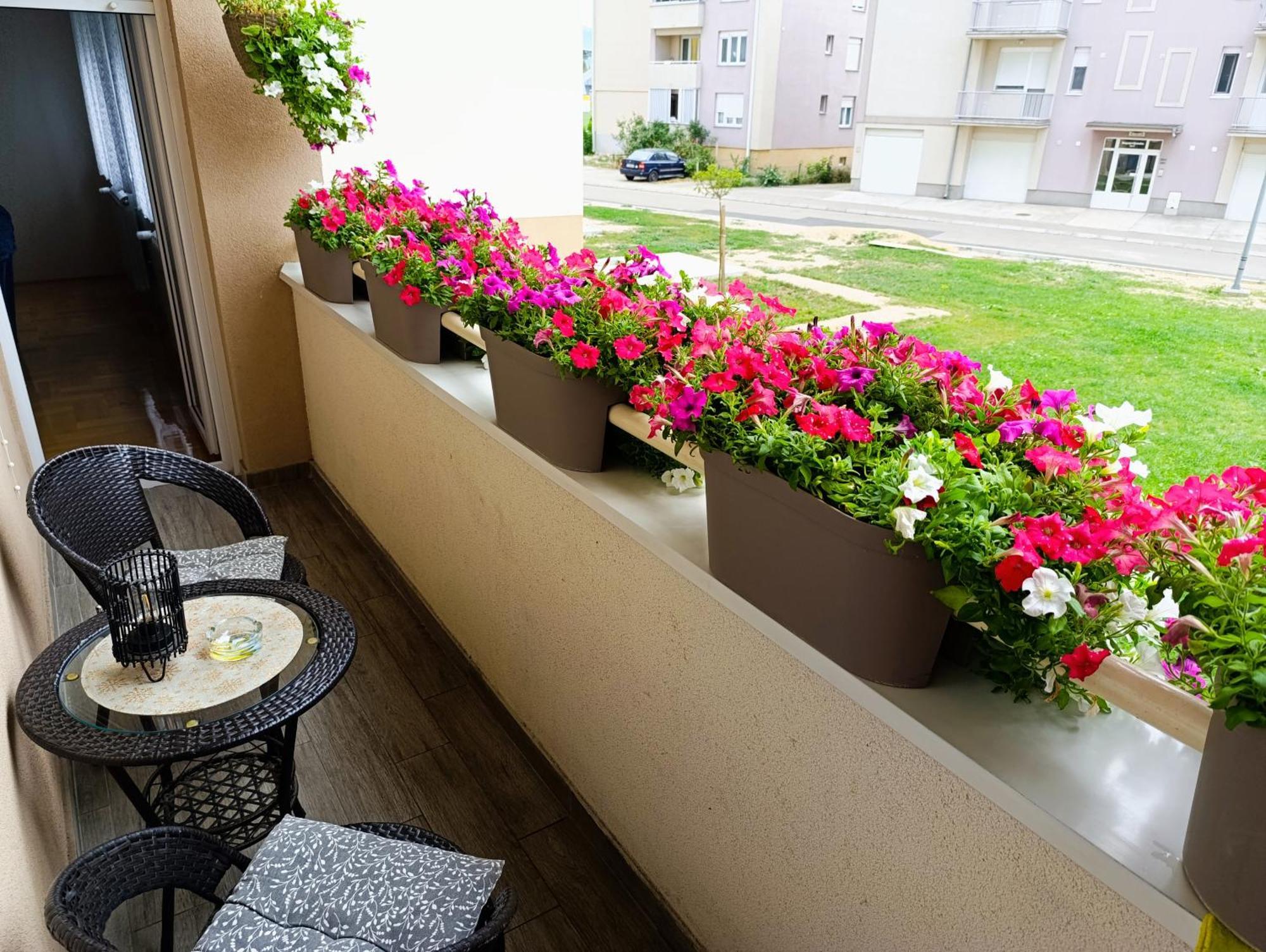 Apartman Lara Pirot Extérieur photo